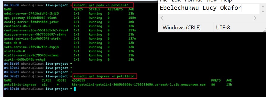 kubectl get pods output