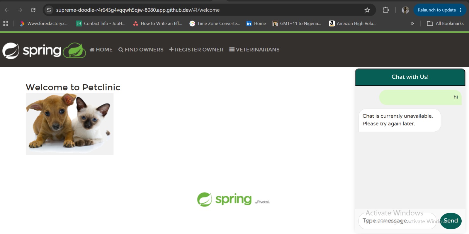 Spring PetClinic application in browser